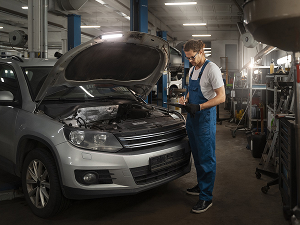 How much does a roadworthy cost?